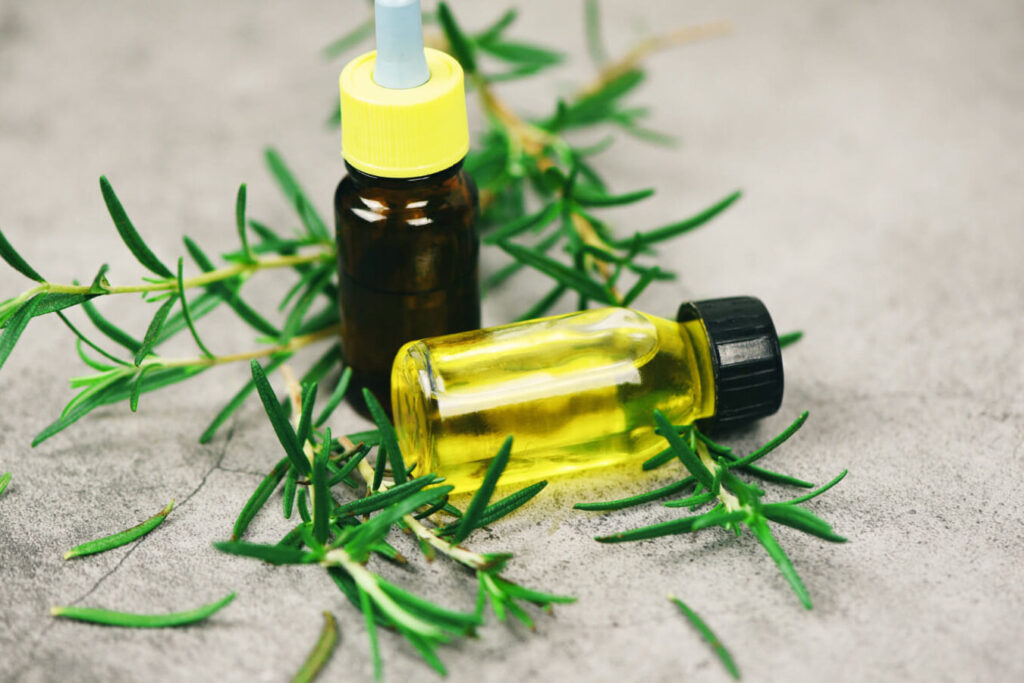 trouver-la-meilleure-huile-de-cbd-en-boutique-les-criteres-essentiels
